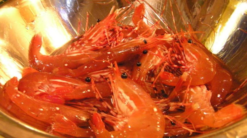 Bilim İnsanları: Test edilen her karideste kokain çıktı.