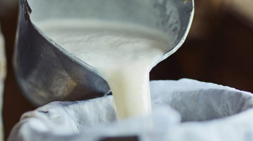 Brusella tehlikesi: Sütün kaynama süresine dikkat