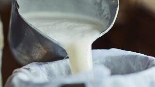 Brusella tehlikesi: Sütün kaynama süresine dikkat