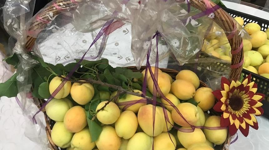 Iğdır&rsquo;da kayısı tanıtım g&uuml;nleri