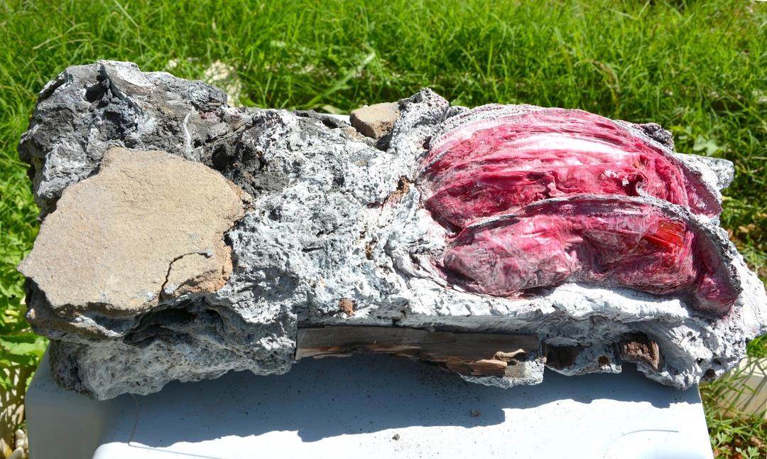 Denizin dibinde tarihi eser bulmuştu! Bu kez de fosil &ccedil;ıkardı