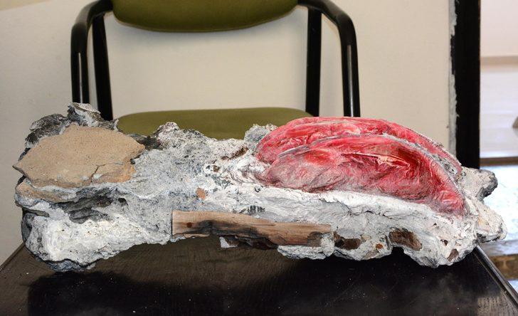 Denizin dibinde tarihi eser bulmuştu! Bu kez de fosil çıkardı G1