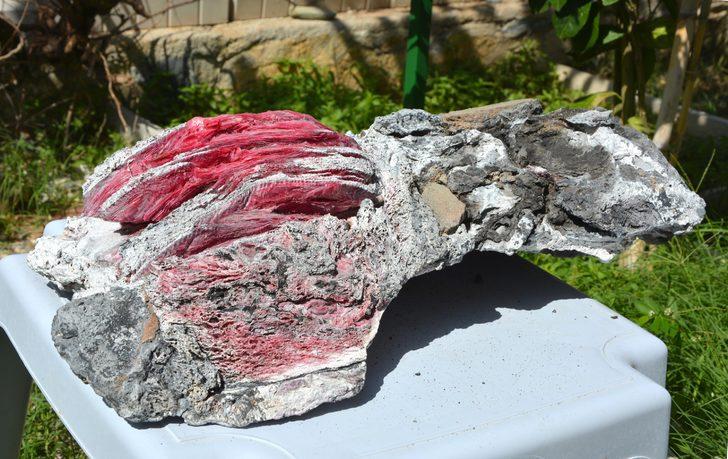 Denizin dibinde tarihi eser bulmuştu! Bu kez de fosil çıkardı G5