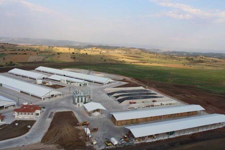 Madenden kazandığını hayvancılığa yatırdı G3