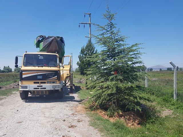 Altıntaş’ta ağaçlandırma ve yol yapım çalışmaları