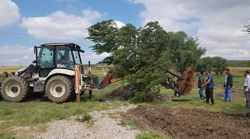 Altıntaş&rsquo;ta ağa&ccedil;landırma ve yol yapım &ccedil;alışmaları