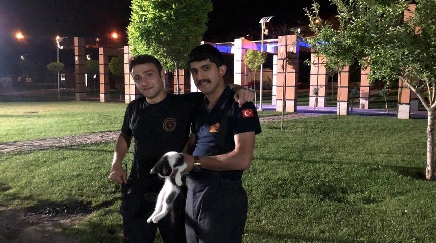 Ağa&ccedil;ta mahsur kalan kedi itfaiye ekiplerince kurtarıldı