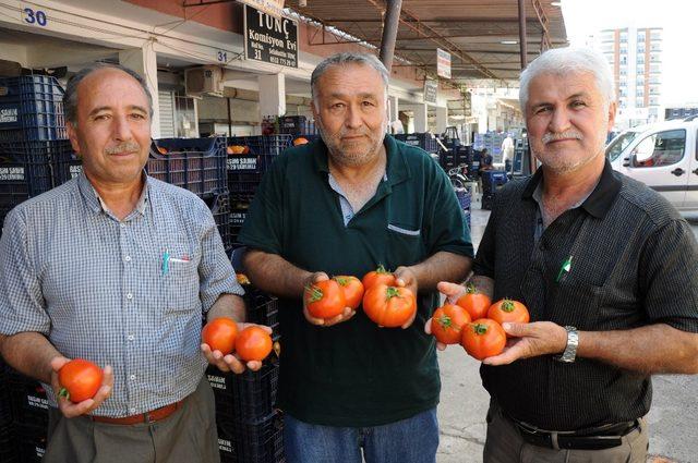 İhracat düştü, domates dibe vurdu