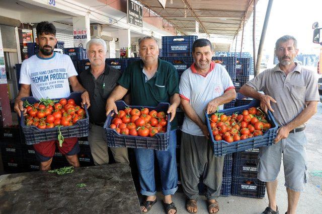 İhracat düştü, domates dibe vurdu