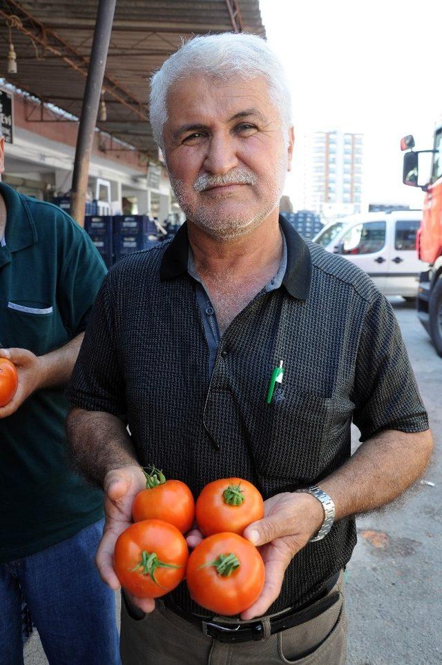 İhracat düştü, domates dibe vurdu