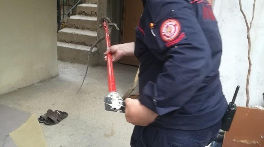 İtfaiyenin yılan yakalama timleri