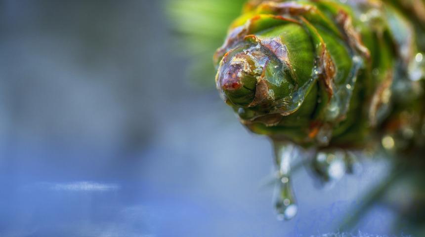 Cinsel isteksizlik, daha &ccedil;ok kadınlarda g&ouml;r&uuml;l&uuml;yor ama bu soruna &ccedil;am kabuğu ekstresiyle son verebilirsiniz