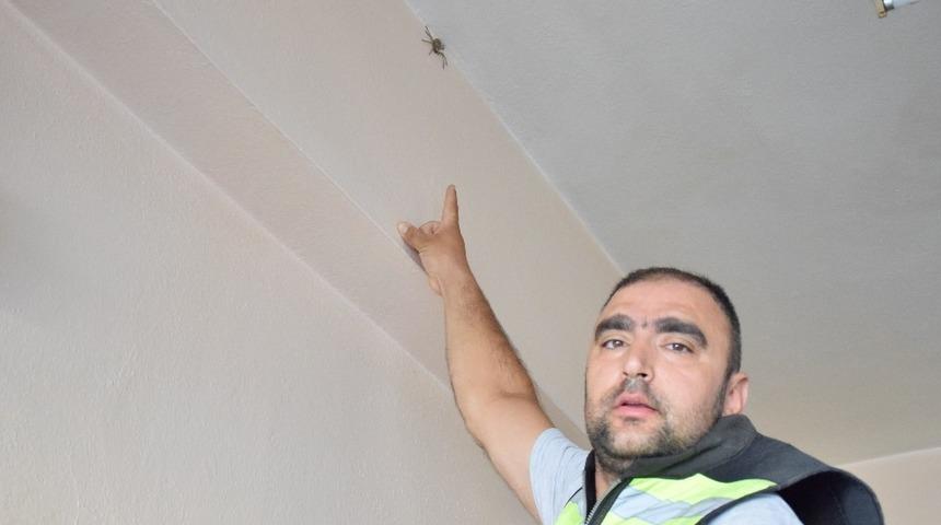 Kahvehaneye giren dev &ouml;r&uuml;mcek korkuttu