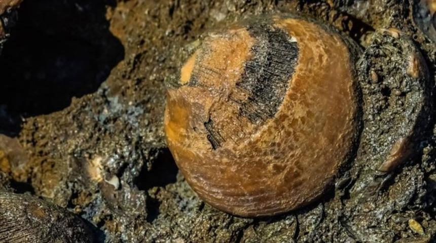 İnanılmaz! Tam 70 milyon yaşında