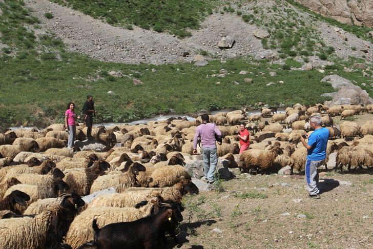 Giden hayran kalıyor: İsviçre Alpler'inde gibiyiz G2