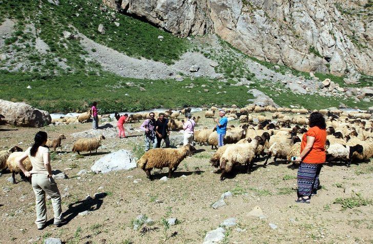 Giden hayran kalıyor: İsviçre Alpler'inde gibiyiz G3