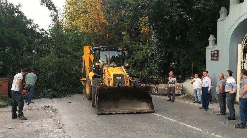 Devrilen ağa&ccedil; Sakarya - Kocaeli arasında ulaşımı sağlayan yolu kapattı
