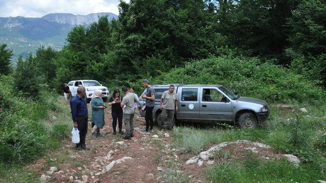 Kurtlar için fotokapan kuruldu
