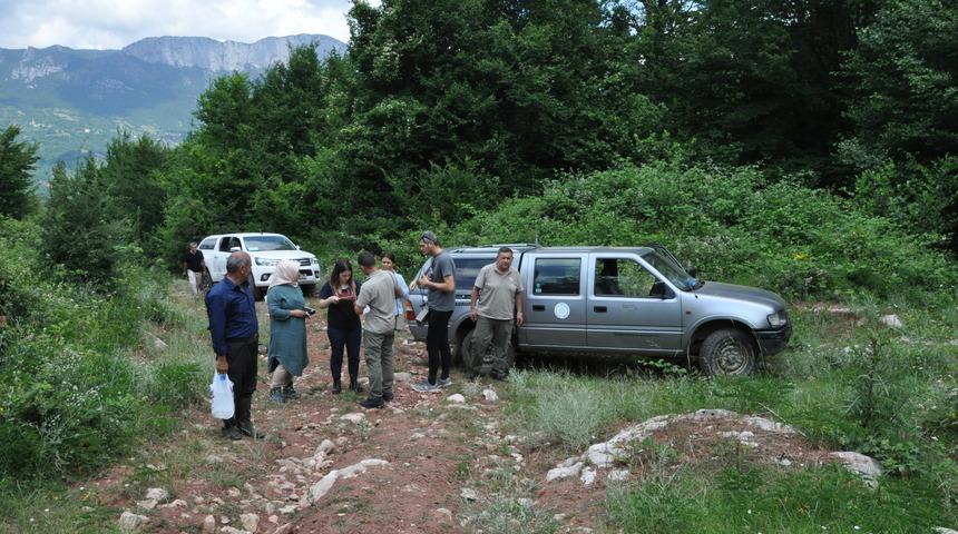 Kurtlar i&ccedil;in fotokapan kuruldu