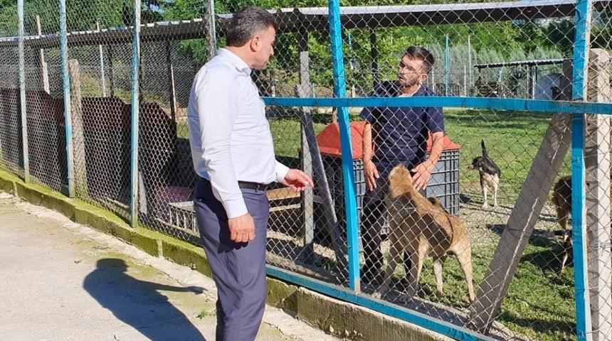 Başkan Özen, hayvan barınağını ziyaret etti