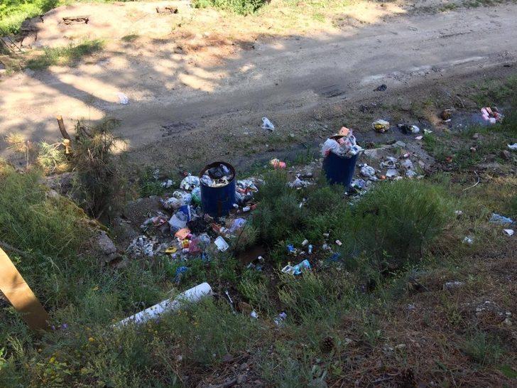 Çöplük değil tabiat parkı G3