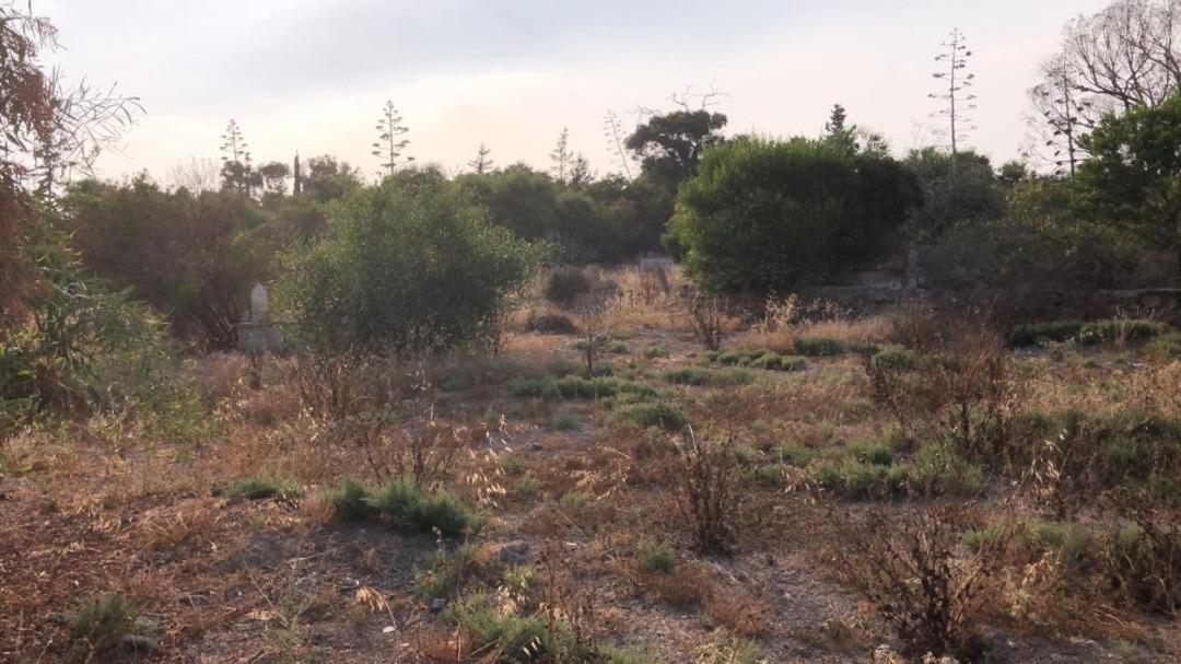 Kıbrıs&rsquo;taki Osmanlı T&uuml;rk Şehitliği i&ccedil;ler acısı halde