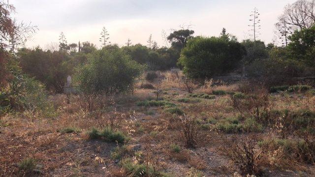 Kıbrıs’taki Osmanlı Türk Şehitliği içler acısı halde