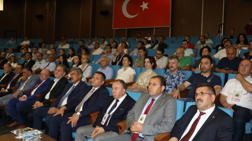 T&uuml;rkiye'de kenevir ekim alanları bin dekarın &uuml;zerine &ccedil;ıktı