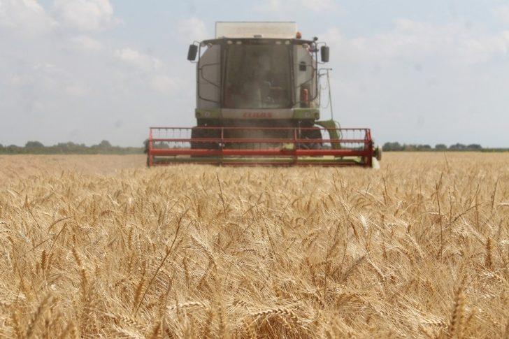 Manyas’ta hububat hasadı başladı G1