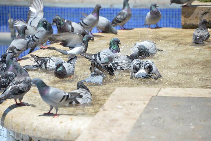 Her türlü yöntemi deniyorlar! Bu kare Adana'da çekildi G3