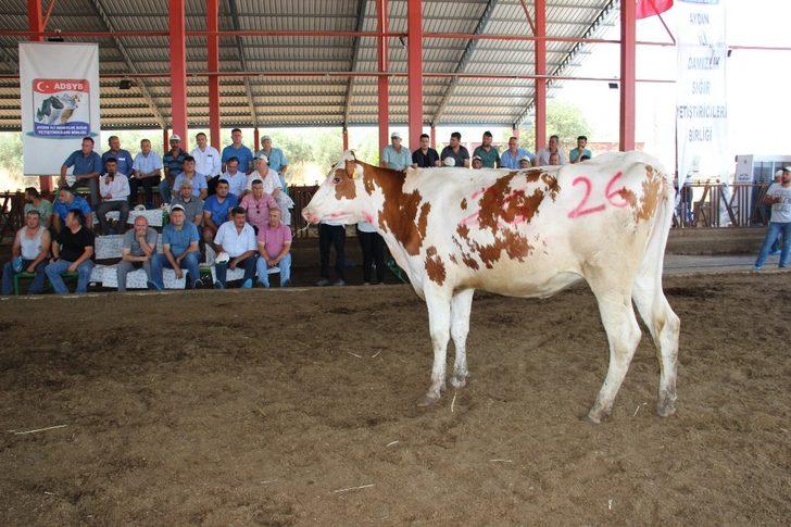 Podyuma çıkan düveler kapış kapış gitti G1
