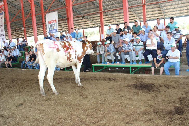 Podyuma çıkan düveler kapış kapış gitti G3