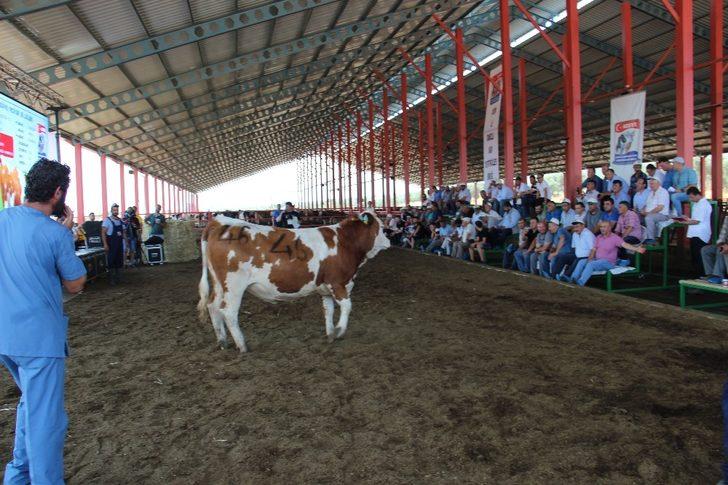 Podyuma çıkan düveler kapış kapış gitti G4