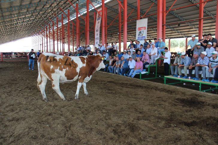 Podyuma çıkan düveler kapış kapış gitti G5