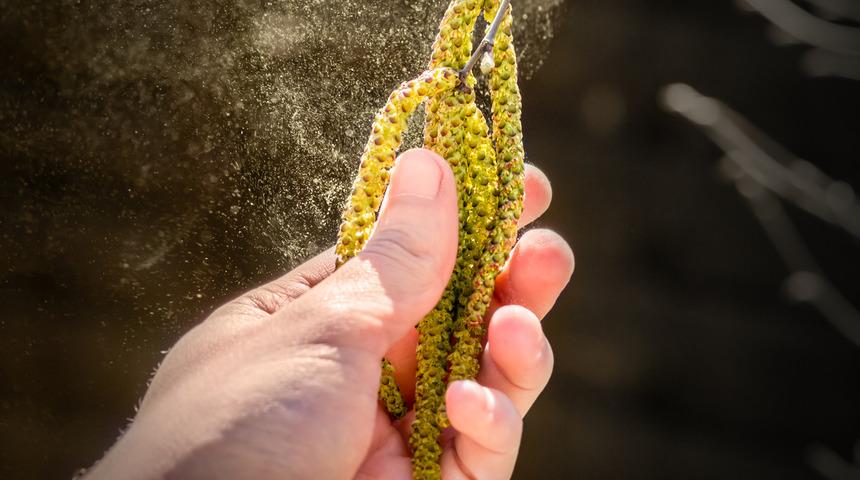 Alerjiye karşı alınacak altın gibi &ouml;neriler