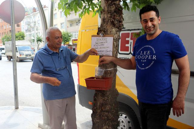 Kuşlara yem için bağış kampanyası