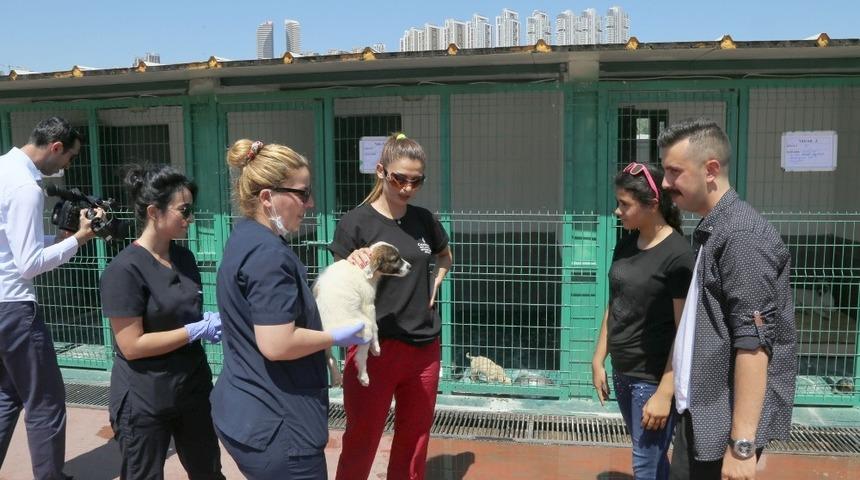 TBMM Komisyonundan &Ccedil;ankaya barınağına &ouml;vg&uuml;