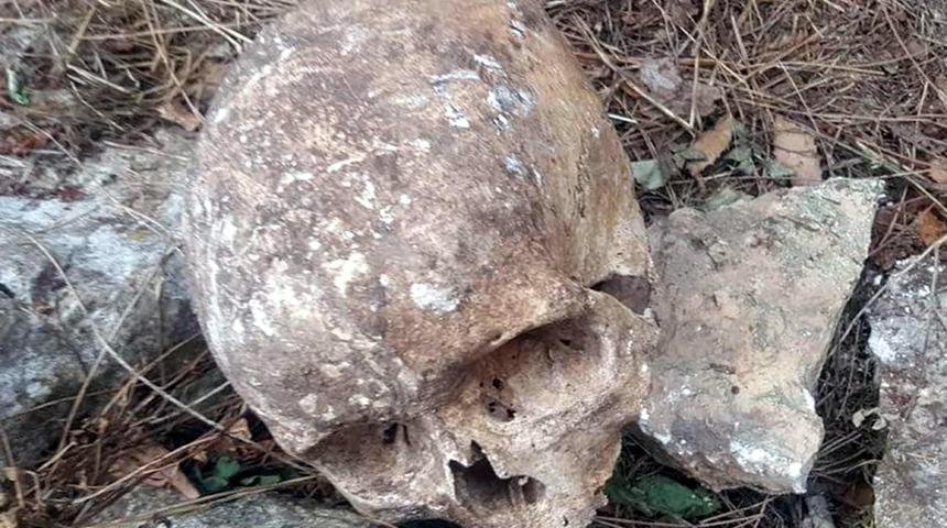 Ormanlık alanda iki kafatası ve çok sayıda kemik bulundu  