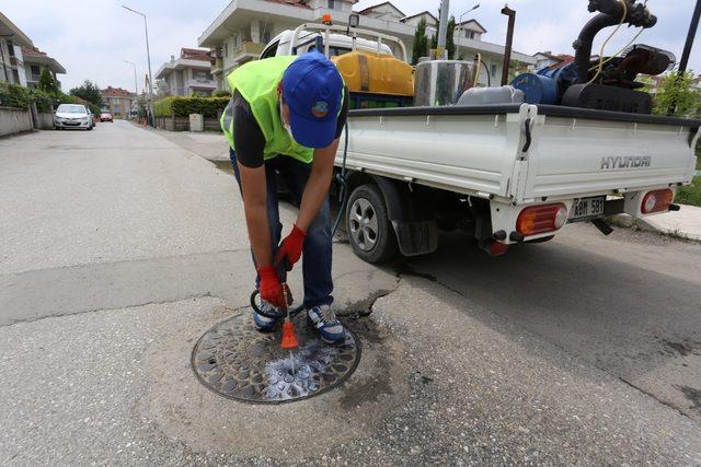 Serdivan’da ilaçlama çalışmaları hız kazandı