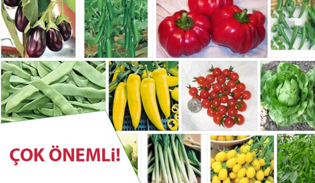 Hangi Yiyecek Hangi Hastalığa İyi Gelir?