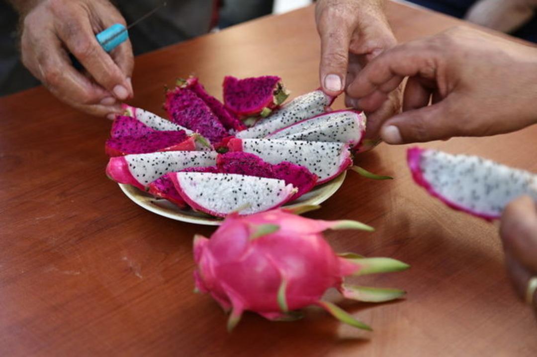 Mersin'de &uuml;retiyor, tanesini 15 liradan satıyor