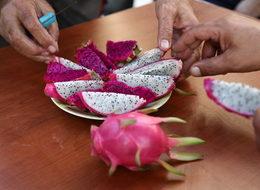 Mersin'de üretiyor, tanesini 15 liradan satıyor