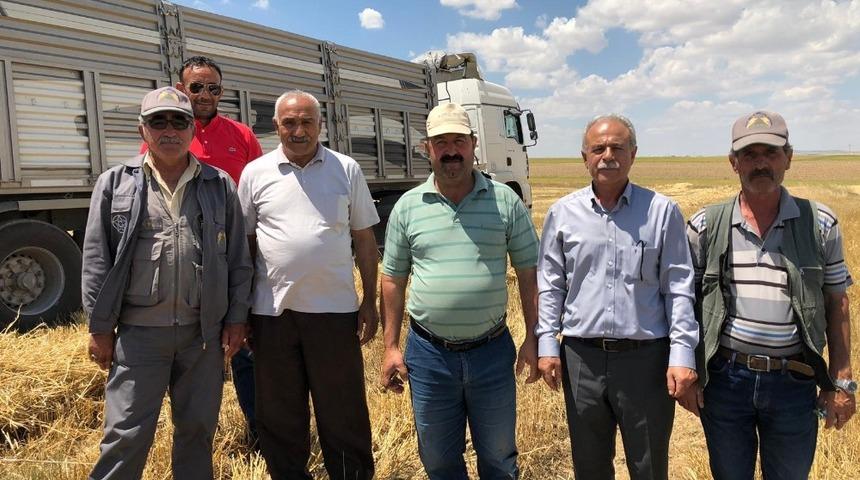 Kulu&rsquo;da hasat d&ouml;nemi başladı