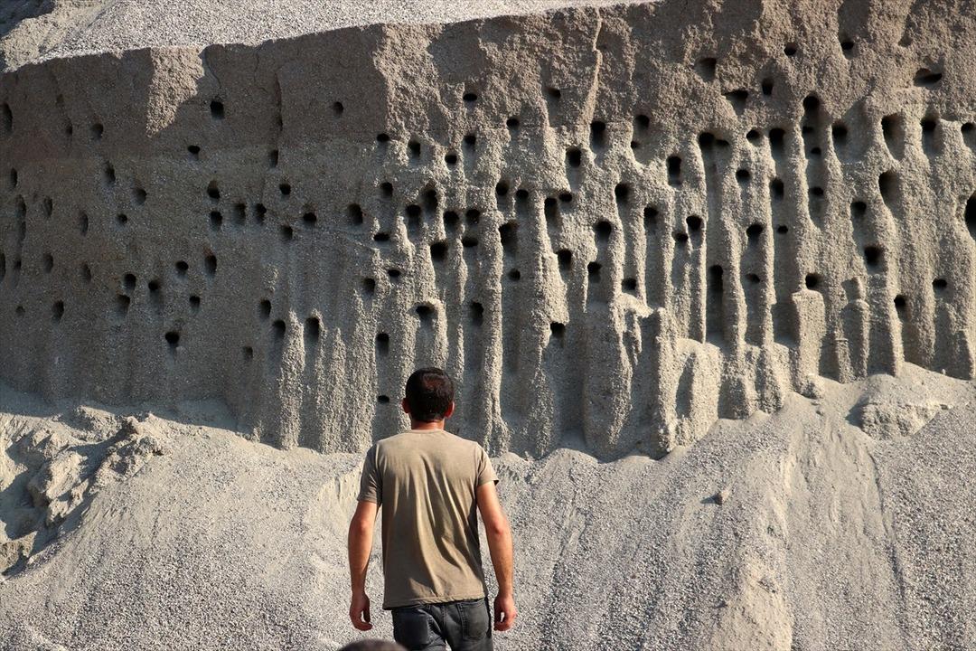 Kırlangı&ccedil; yuvaları i&ccedil;in zarar etmeyi g&ouml;ze aldılar