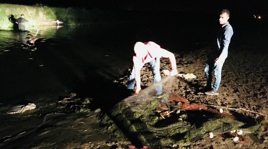 Ka&ccedil;ak avlanan bir ton 600 kilo balık yeniden suya bırakıldı