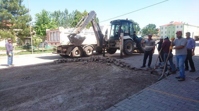 Aslanapa’da çevre düzenleme ve peyzaj çalışmaları