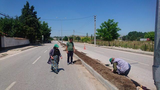 Aslanapa’da çevre düzenleme ve peyzaj çalışmaları