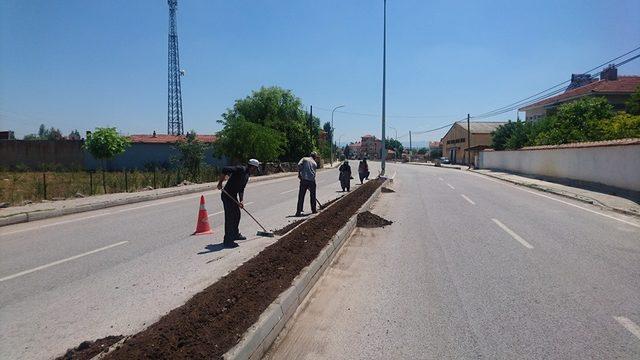 Aslanapa’da çevre düzenleme ve peyzaj çalışmaları