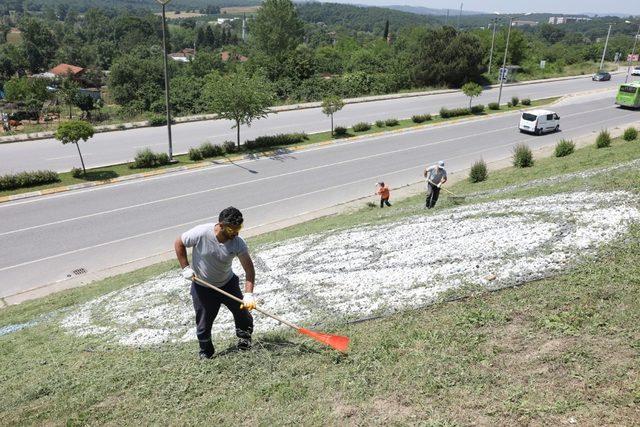 Adapazarı Belediyesi ilçede temizliği elden bırakmıyor