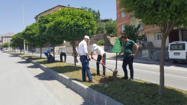 Hakkari Belediyesinden ağaç temalı uyarı levhaları